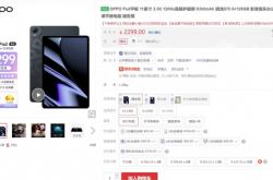 首销一抢而空！OPPO Pad现货：价格恢复至2299 第一批买的赚了