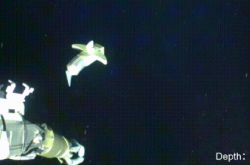 无惧高压极端环境！我国软体机器人挺进4070米深海