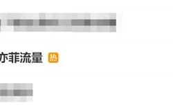 网红刘一菲走红：本人承认蹭刘亦菲流量