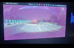 男子时速105公里撞上横穿高速野猪群：一下子灭掉5头