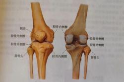 走路时膝盖突然“软”一下 别以为是累了 或许是这些疾病的信号
