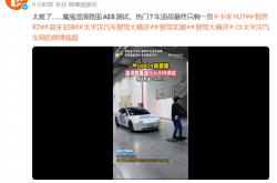 魔鬼湿滑路面AEB测试：6款热门车均翻车 华为系智界成唯一过关车型