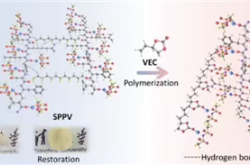 大豆不只能做豆腐！清华团队把大豆做成固态电池电解质 安全且环保
