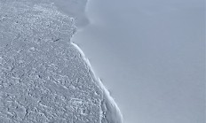 黑龙江水库冰面下现13匹冰冻马 主人：马扎堆喝水落水淹死