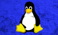 性能暴涨44%：Linux终于获得缓存感知调度！Windows 10/11中早已存在数年