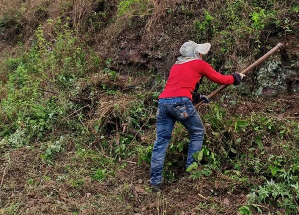 为什么古代中国经常会闹饥荒
