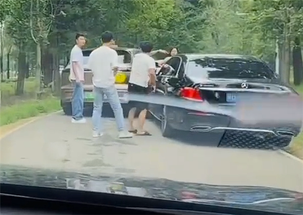 野生动物园里两车剐蹭多人下车争论：两只白虎一旁强势围观