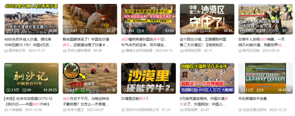 中国人靠着10万头黑猪 把沙壁整顿成了粮仓?