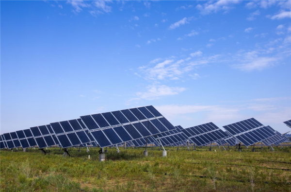 中国人靠着10万头黑猪 把沙壁整顿成了粮仓?