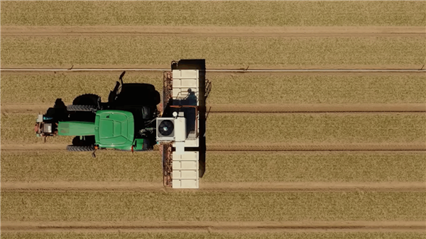 NVIDIA AI解决农业古老问题:搭配激光秒杀上万棵杂草无压力!