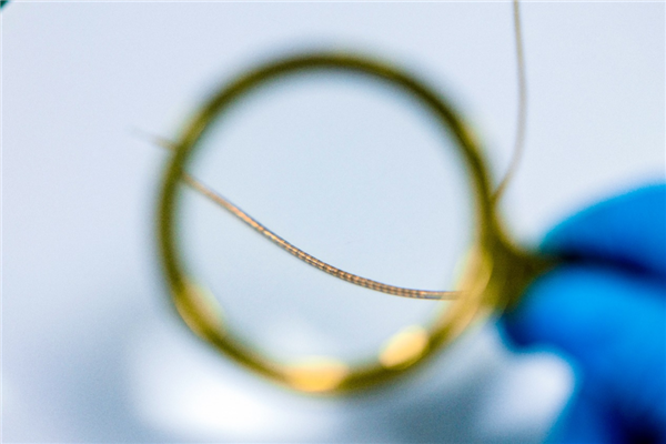 细如发丝！我国成功研制新一代脑机接口功能电极：受蚯蚓启发 能在脑子里“爬”