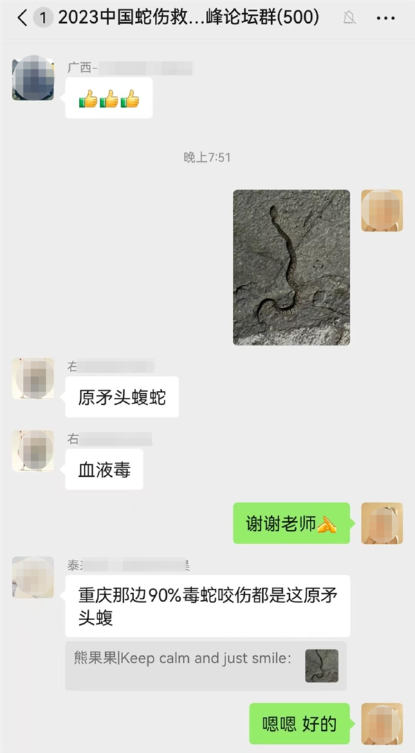 男子被毒蛇咬伤 女友教科书级应对:第一时间拿起手机拍照