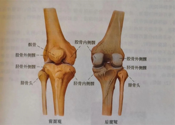 走路时膝盖突然“软”一下 别以为是累了 或许是这些疾病的信号