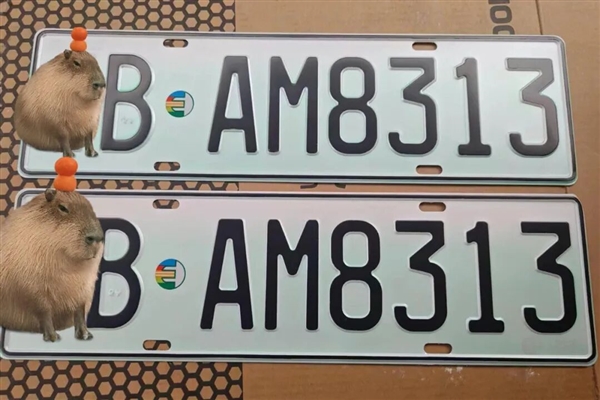 新能源绿牌用“UV灯”照射后能变白牌 网友:帅 但蜀黍不认