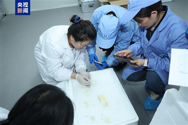 中国空间站第九批实验样品返回并交付科学家：包含四只太空小鼠
