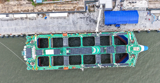 全球首创！漂浮式动力定位养殖平台“湛江湾1号”交付