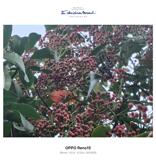 时尚、璀璨、闪耀!OPPO Reno 15评测:6.3英寸掌中影像旗舰!