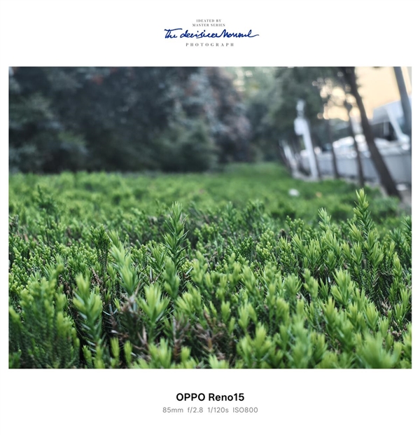 时尚、璀璨、闪耀!OPPO Reno 15评测:6.3英寸掌中影像旗舰!