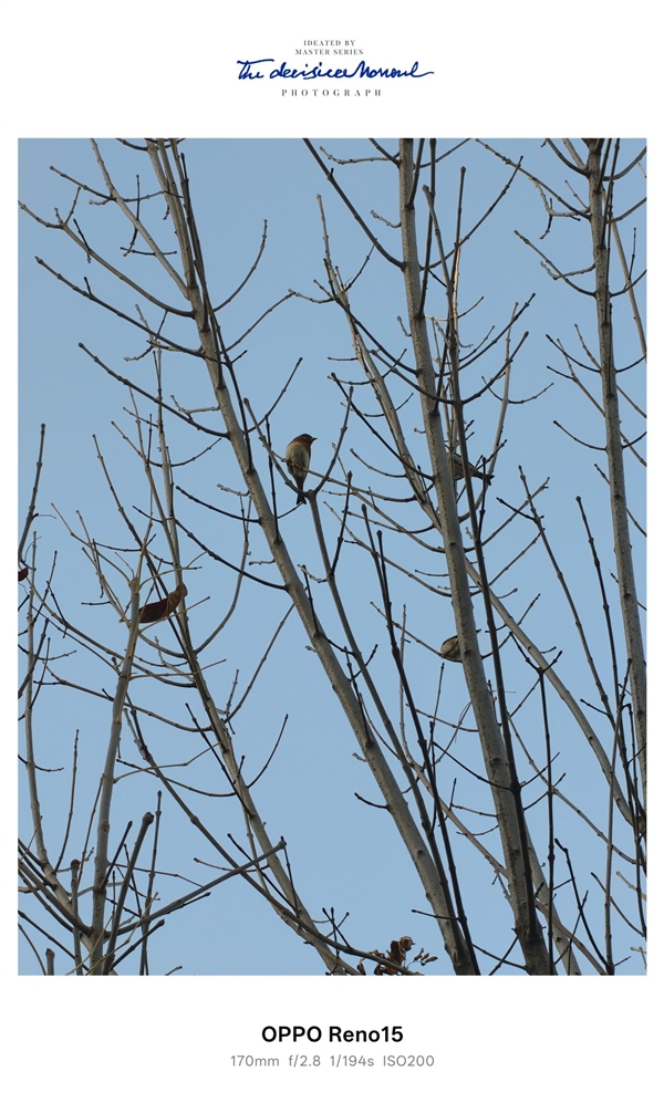 时尚、璀璨、闪耀!OPPO Reno 15评测:6.3英寸掌中影像旗舰!