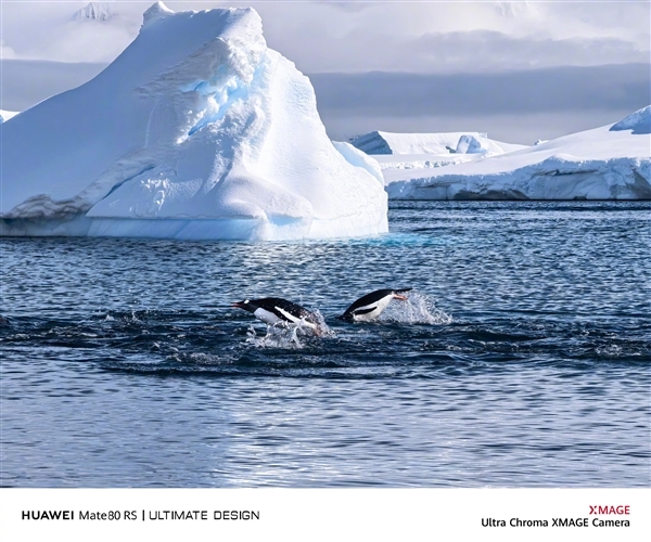 六大绝技升级巨大!华为Mate 80系列首发第二代红枫影像:实拍视频公布