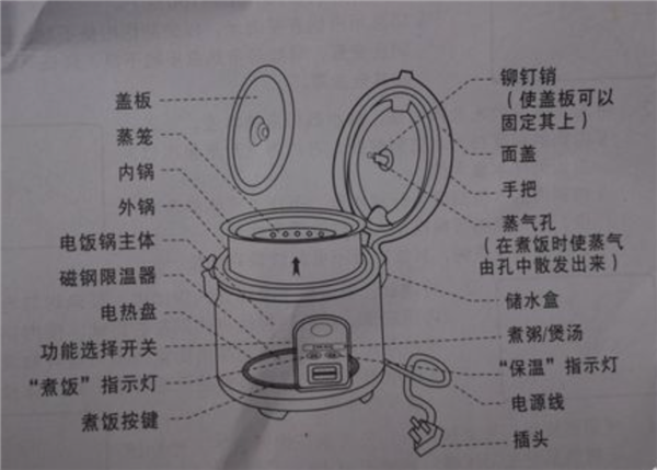 电饭煲这4个地方不洗 当心吃“蟑螂蒸饭”！