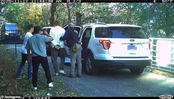 千万粉丝网红为博眼球烧掉价值40万美元的法拉利：却因逃税被抓