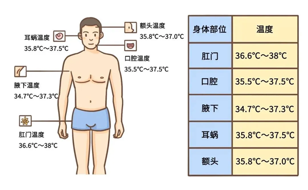 100多国联合封杀 水银体温计为什么非死不可