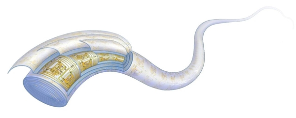 复旦团队重大突破 世界首款纤维芯片问世：大规模集成电路 卡车碾压也不怕