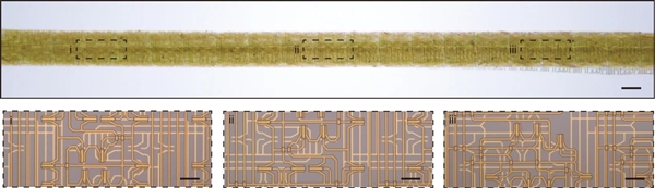 复旦团队重大突破 世界首款纤维芯片问世：大规模集成电路 卡车碾压也不怕