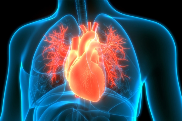 心源性猝死如何急救:记牢这四步