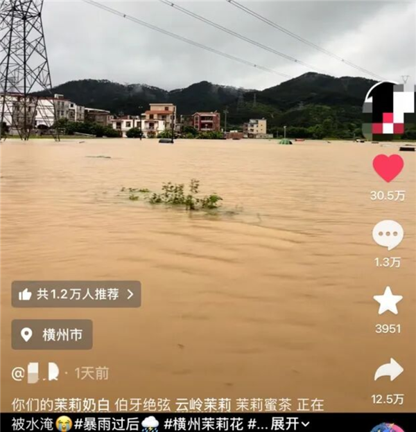 中国茉莉之乡遭遇洪灾 瑞幸蜜雪多家品牌驰援 当地花农：基本已无法采摘