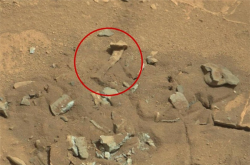 照片显示火星表明惊现人骨？NASA辟谣：只是块碎石