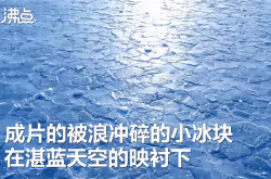 新疆赛里木湖现蓝冰拼图奇观 网友称有异世界森林既视感