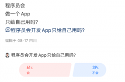 只要会复制粘贴 你也能写出一款自己的软件