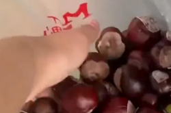 留学生在意大利把马栗当板栗 网友：此物有毒