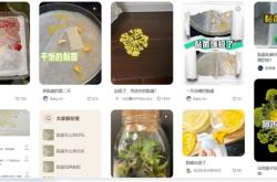 年轻人开始养黏菌当宠物：自然界最神秘物种之一 拥有惊人智力