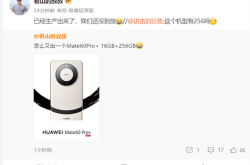 曝华为Mate60 Pro+将推16GB+256GB版本：价格更低