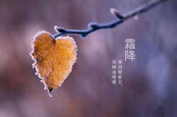 霜降，除了吃肉进补，4种“千金菜”也要吃，去燥增免疫