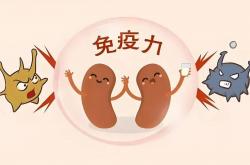 生殖免疫：可怕的生育力“破坏者”！