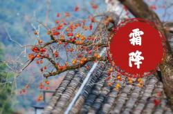 “霜降吃6宝，一年病不沾”，霜降到了要吃什么？