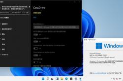 Windows 11 21996.1 x64 尝鲜版下载