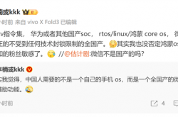 李楠称中国人要的不是自研手机系统而是全国产微信，你同意吗？