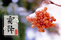 霜降过后，少吃柿子螃蟹，记得“1避2忌3补”，注意身体好入冬