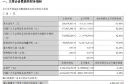 乐视网一季度收入锐减70％ 第一股东贾跃亭99.99%冻结