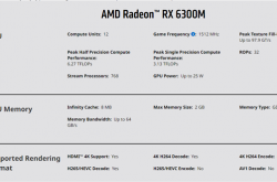 AMD RX 6300M亮机卡跑分首曝：竟不如锐龙APU！