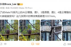 华为李小龙：手机拍摄文字AI增强容易翻车 仍属业界难题