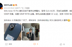 华为nova 10 Pro真机曝光：竖向椭圆三摄抢眼