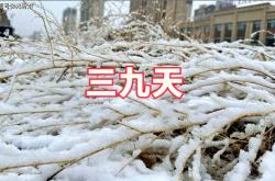 三九天要吃什么？“吃2样，做1事”暖身又暖胃，冬天不怕冷！