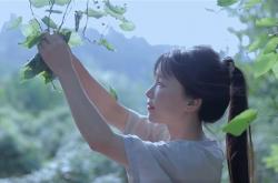 李子柒穿了自己缝的螺钿披风：美若天仙