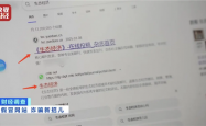 20元就能山寨官网！央视曝光克隆网站黑幕 专家教你如何辨别
